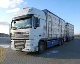 Скотовоз DAF XF 105.460, 2012 год | 0