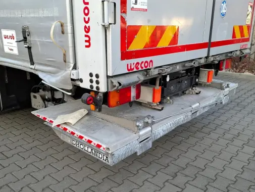 man tgx 18.360, 2019 года, штора 20 палет, ворота и гидроборт 9