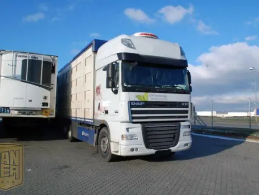 Автопоезд-скотовоз DAF XF 105, 2012г, вместимость 132м3, общая г/п 31т. - фото 6