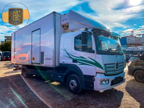 Рефрижератор тушевоз со спальником Mercedes Atego 1223 L, 2014 год, 15 европалет - фото
