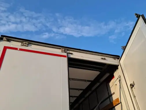 man tgx 18.360, 2019 года, штора 20 палет, ворота и гидроборт 19